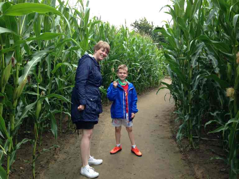 York Maze review